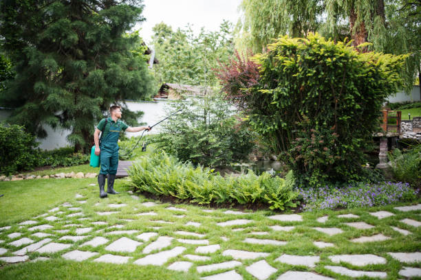 Best Wasp Removal Services  in West Hill, OH