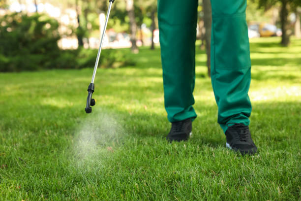 Best Insect Control  in West Hill, OH