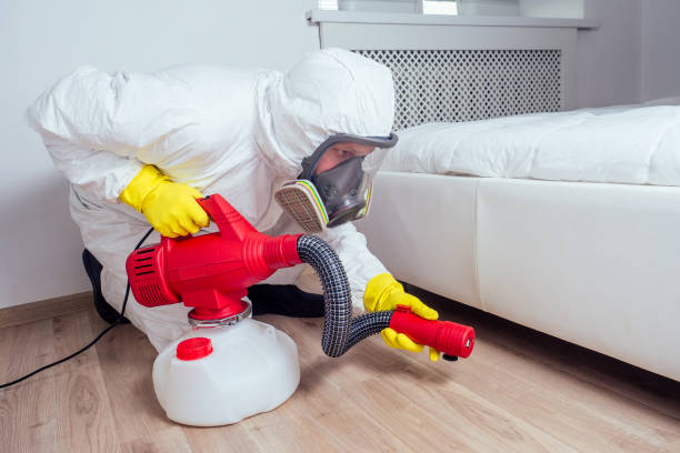 Best Flea Control Services  in West Hill, OH
