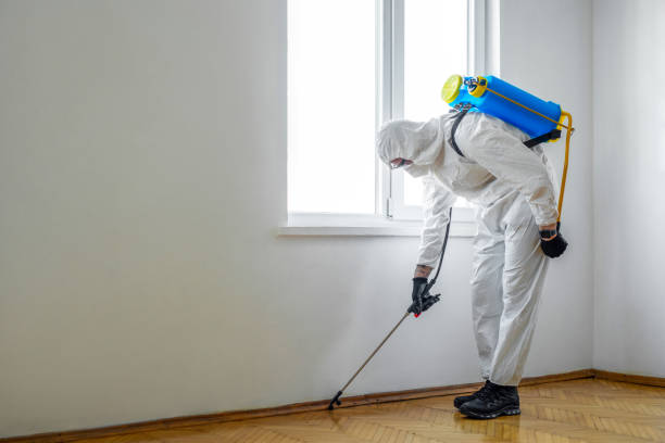 Professional Pest Control in West Hill, OH