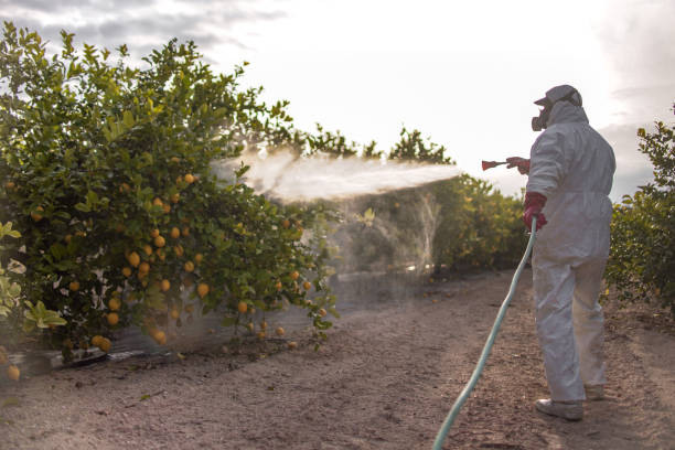 Best Local Pest Control Services  in West Hill, OH