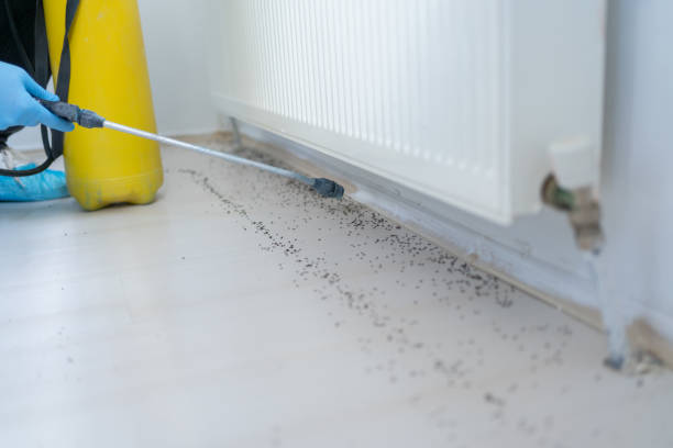 Best Cockroach Control Services  in West Hill, OH